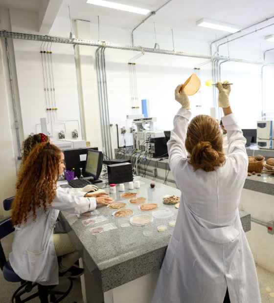 Fapespa abre chamada para 200 bolsas de mestrado a R$ 2.100,00 cada uma