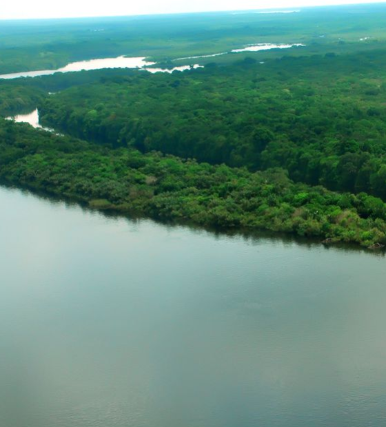 Cúpula, em Belém, será a “voz amazônica”, diz diretor da OTCA