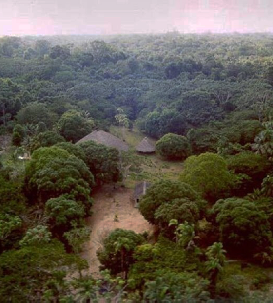 Demarcação de nova terra indígena em dois Estados ameaça desmontar mais de 60 fazendas no Pará