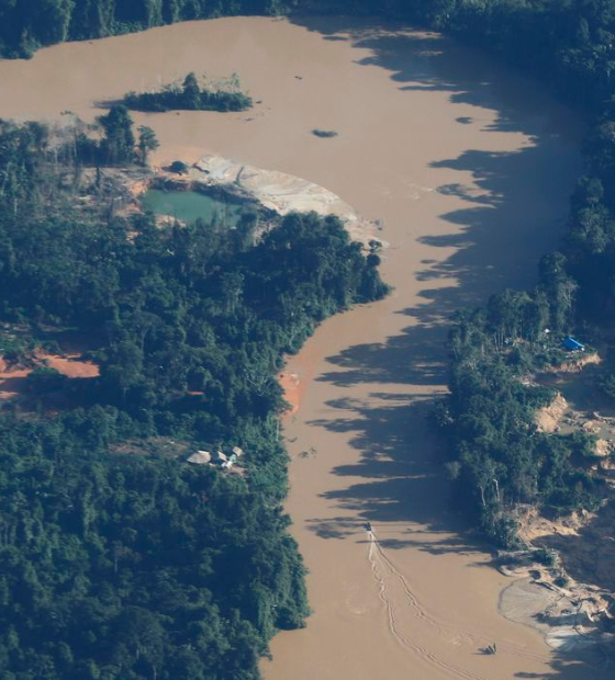 Cúpula: acordo deve evitar ponto de não retorno da Amazônia