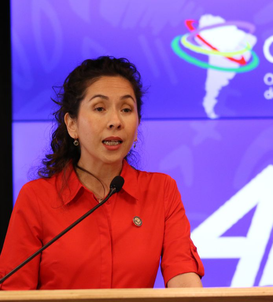 Secretária-geral da OTCA defende desmatamento zero até 2030