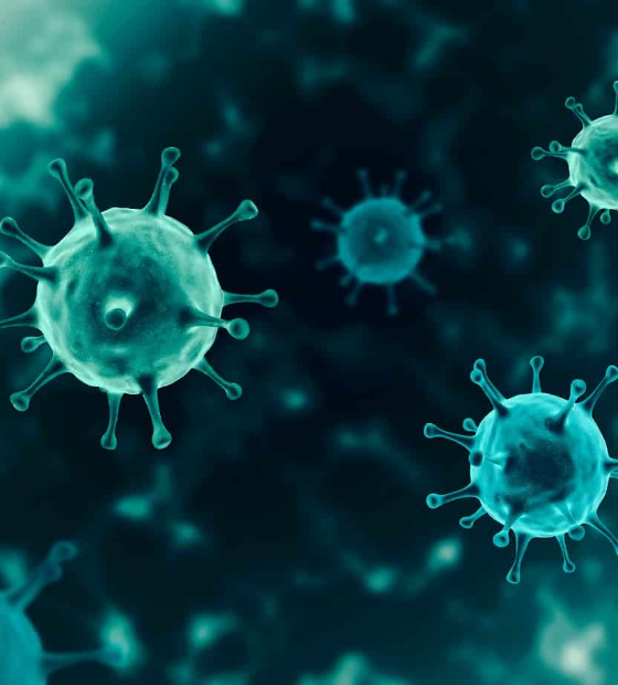 Éris: nova variante da covid-19 é perigosa? Entenda riscos no Brasil e no mundo