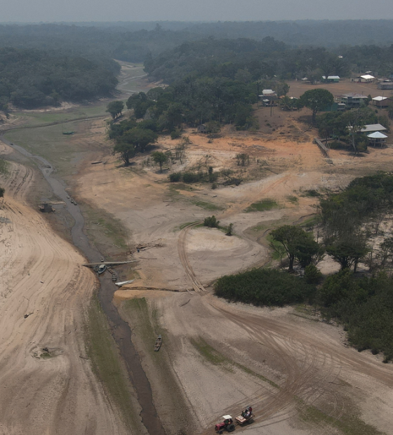 Saiba como desmatamento e queimadas influenciam tempo na região Norte