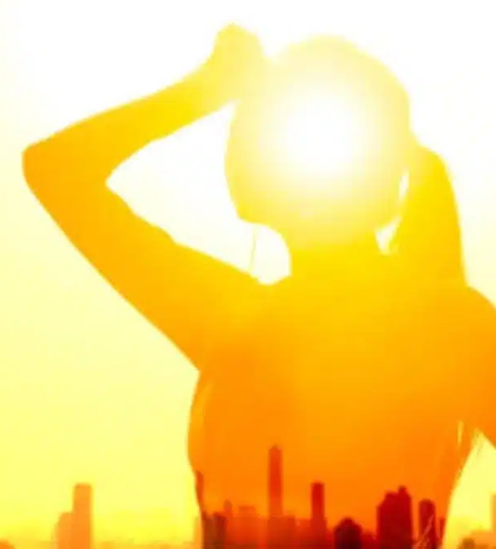 Brasil terá onda de calor com temperaturas perto dos 40ºC: por que está tão quente este ano?