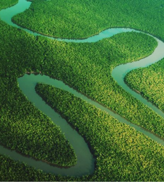 Alepa aprova projeto de lei que institui a Política e Sistema Estadual de Unidades de Conservação