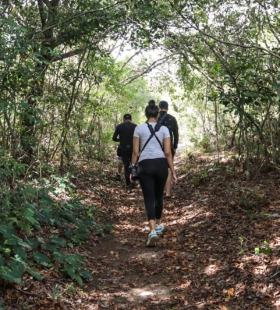 Amazônia tem cerca de R$ 94 milhões para investimentos em 'Expedições Científicas’