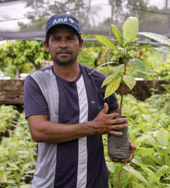 Projeto viabiliza o plantio de meio milhão de mudas para reflorestar áreas em Altamira