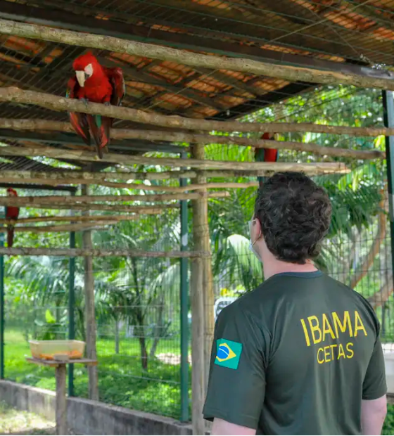 Servidores federais ambientais estão em greve em 24 estados e no DF