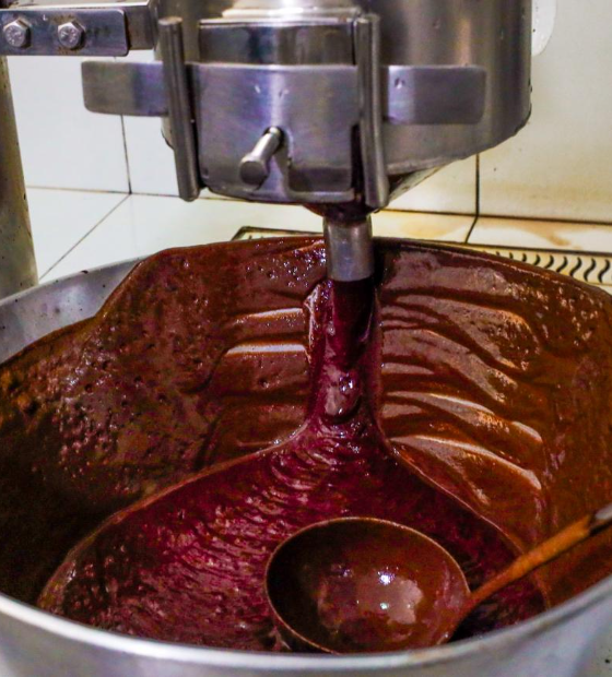 Nove municípios paraenses lideram produção nacional do açaí, aponta Fapespa