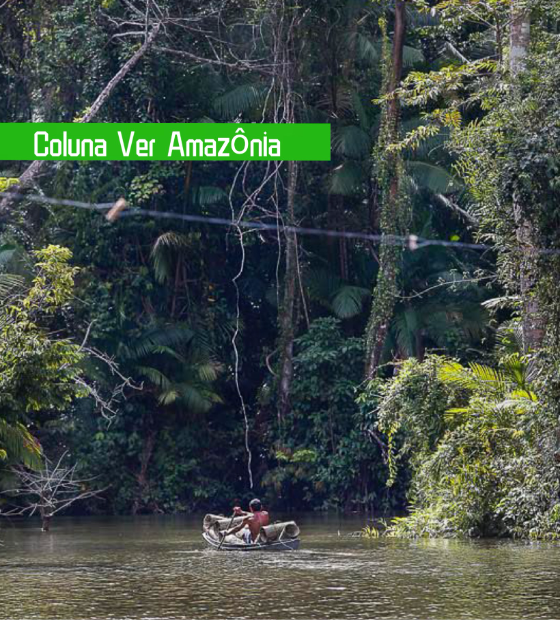 Sociedade Brasileira para o Progresso da Ciência chega à cidade da COP 30 