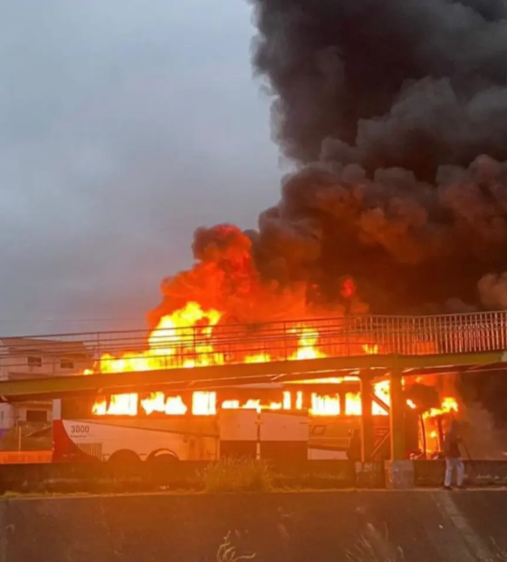 Emboscada de organizada do Palmeiras a torcedores do Cruzeiro acaba com um morto e 20 feridos