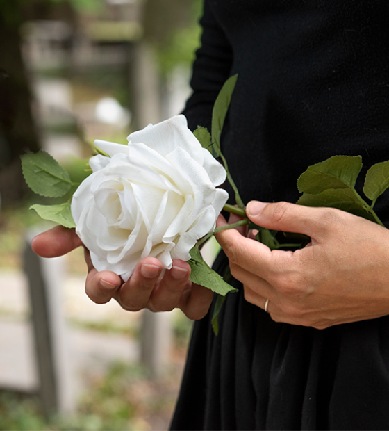 Venda de flores para Finados aumenta 6% e crescem novas formas de homenagens