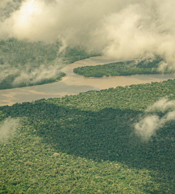 Lula sanciona, sem vetos, lei que cria mercado regulado de carbono no Brasil