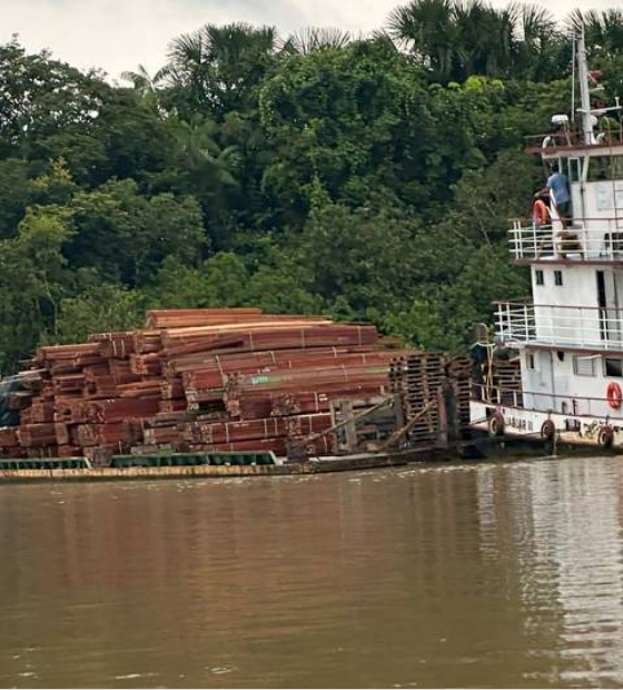 Base Fluvial Antônio Lemos apreende mais de 150 metros cúbicos de madeira ilegal