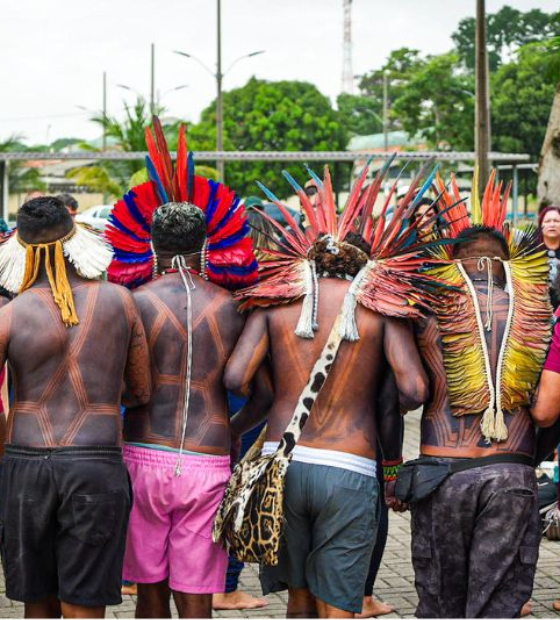 MPF requisita que governo do PA informe como vai garantir representatividade indígena em tratativas sobre educação