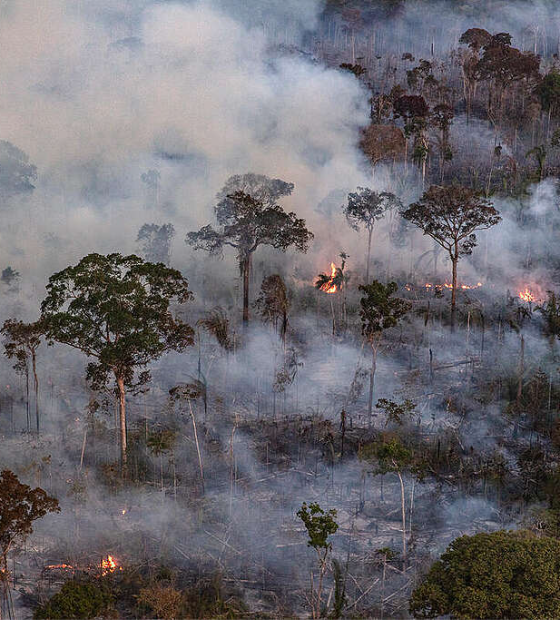 Área queimada no Brasil cresce 79% em 2024 e atinge território maior que o da Itália, mostra MapBiomas