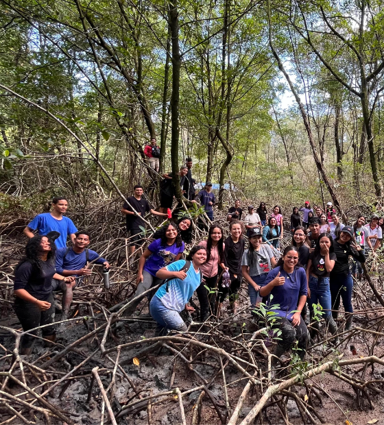 Projeto leva escolas para conhecer a maior faixa contínua de manguezal do mundo