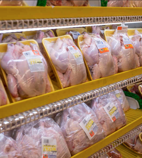 Preço do frango em Belém sofre reajuste e supera inflação