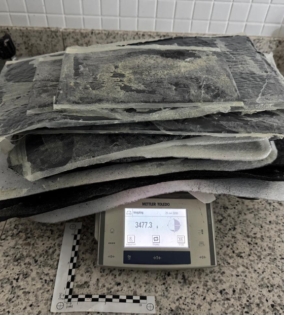 Polícia Federal prende venezuelana com cocaína no aeroporto de Belém