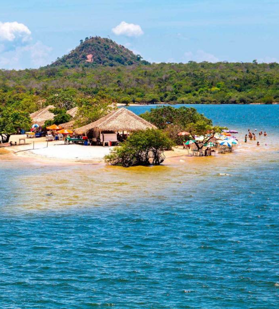 Moradores do Norte e Centro-Oeste têm mais interesse em visitar Amazônia, revela pesquisa