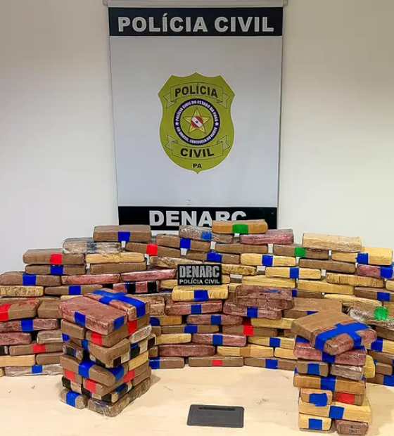 Polícia Civil do Pará apreende quase 200Kg de maconha e estrangeiro é preso por tráfico