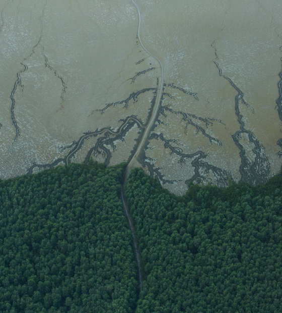 Técnicos do Ibama recomendam rejeição de licença para pesquisar petróleo na Foz do Amazonas