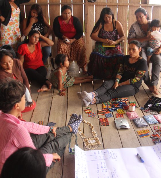 Bioeconomia depende de integração entre ciência e tecnologia, populações tradicionais e mercado