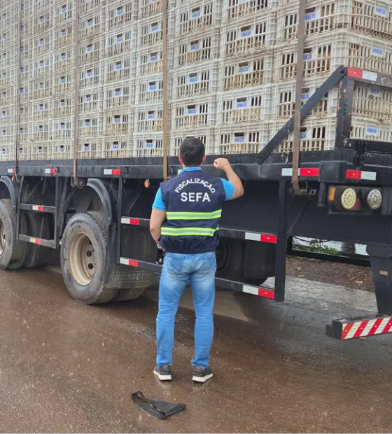 Mais de 13 toneladas de frango vivo são apreendidas pela Sefa em Cachoeira do Piriá