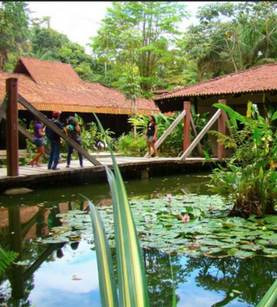 MPF investiga extinção da Fundação Escola Bosque em Belém (PA)