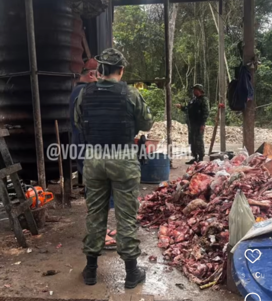 Polícia fecha fábrica clandestina que triturava ossos para produzir razão de cães e gatos