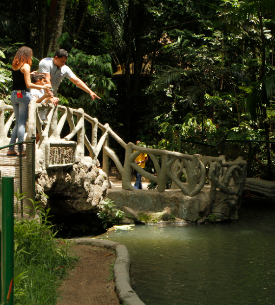 Bosque Rodrigues Alves terá programação especial no final de semana