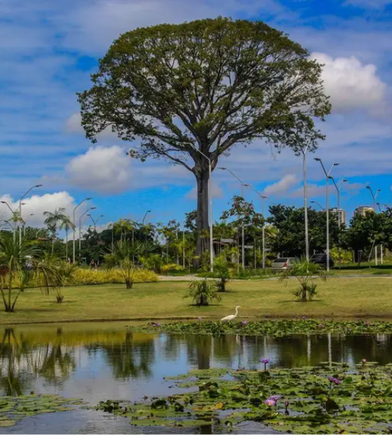 Levantamento nacional aponta Parque Estadual do Utinga entre os dez mais visitado do Brasil