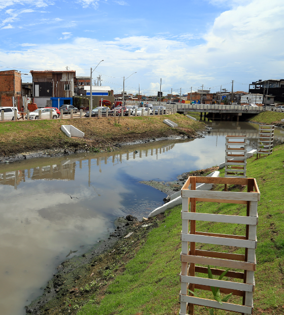 Margem do canal do Tucunduba vai receber o plantio de 400 mudas
