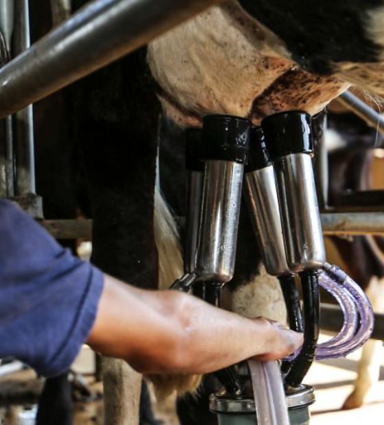 Governo tenta conter alta de preços dos alimentos com Lei que extingue taxa do agro`