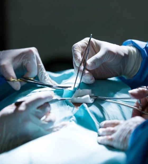 Pesquisadores chineses usam fígado de porco geneticamente modificado em transplante humano