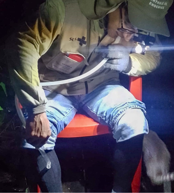 Insetos são capturados na Ilha do Combu para controle de possíveis contaminações