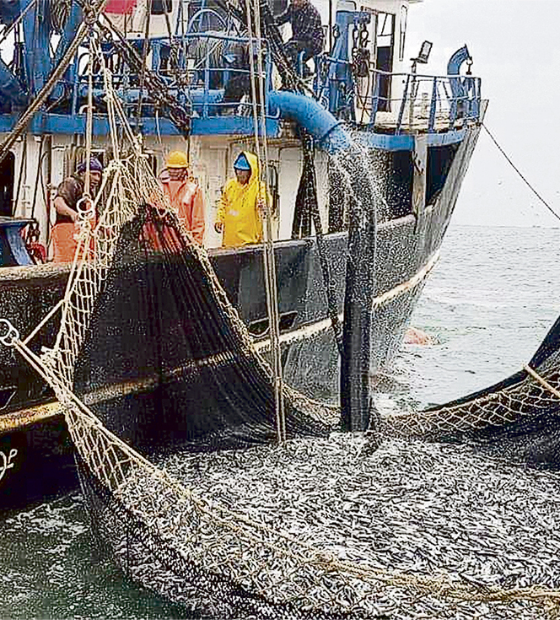 Sem estatísticas confiáveis, pesca industrial brasileira segue órfã da boa gestão