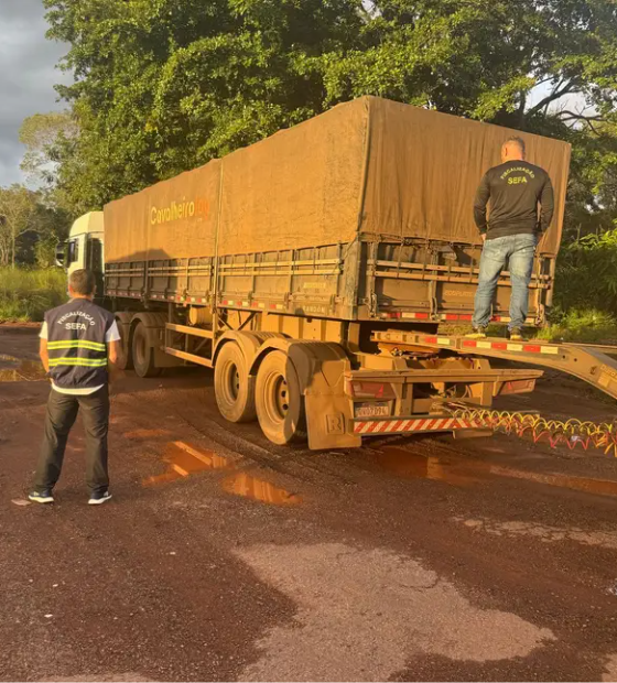 Sefa apreende 48 toneladas de açúcar e 39 metros cúbicos de madeira