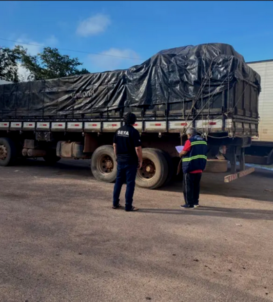 Sefa apreende 30 toneladas de açaí e 16,5 metros³ de madeira