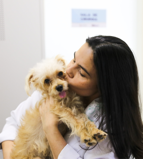 Outeiro receberá mutirão de castração animal neste sábado, 5