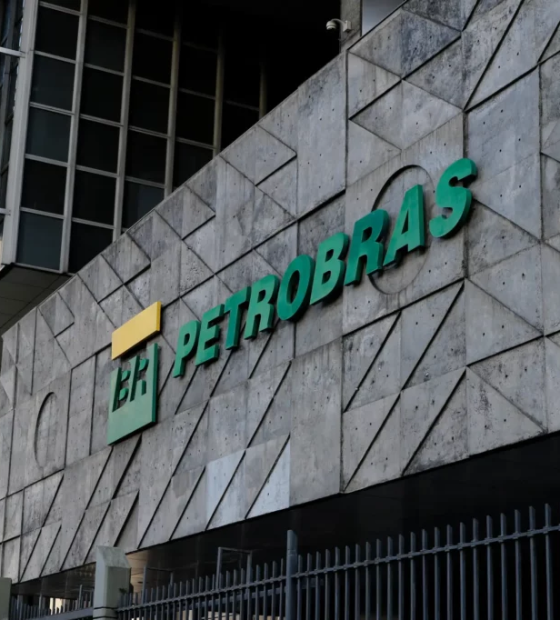 Governo do Amapá autoriza operação de centro de fauna; falta aprovação do Ibama