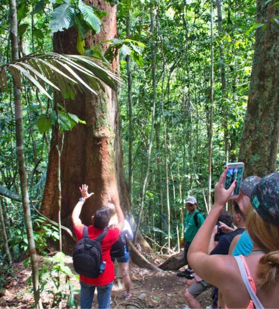 Pará: jovens empreendedores recebem investimentos e expandem negócios sustentáveis