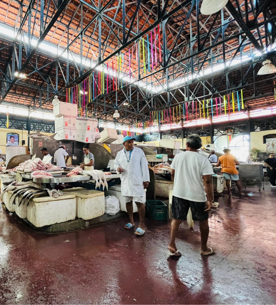 Decreto Municipal controla e limita da saída de pescado de Belém