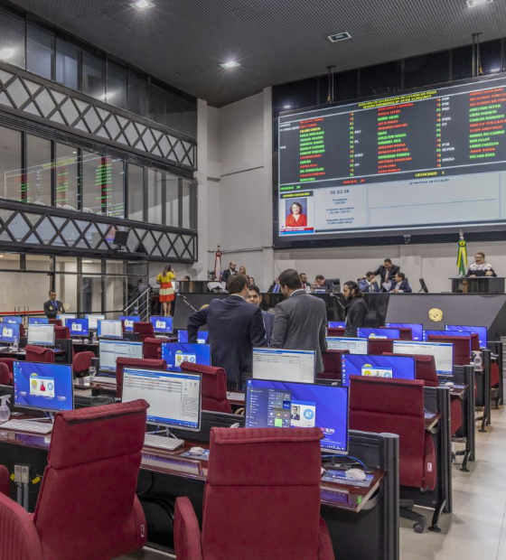 Alepa aprova projetos sobre qualidade e venda do açaí e de inclusão social e cultural