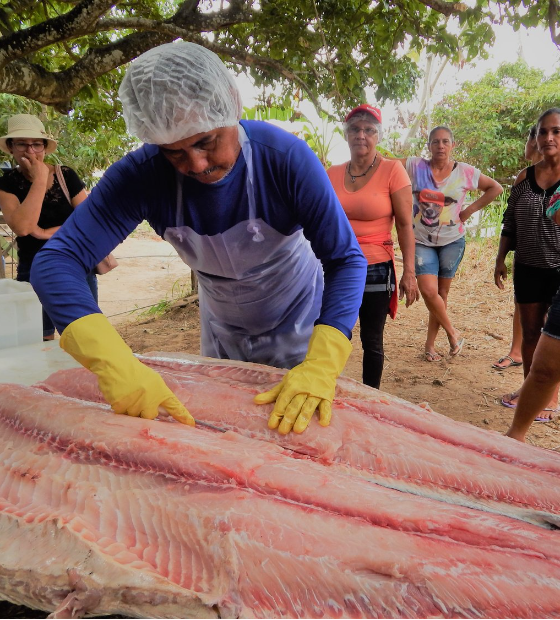 Tecnologia social impulsiona manejo sustentável do pirarucu na Amazônia
