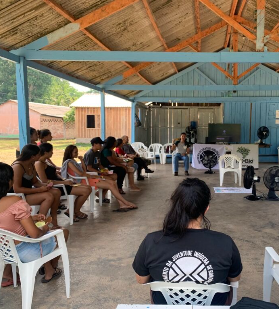 Mais de 150 negócios da floresta se inscrevem em programa de aceleração na Amazônia