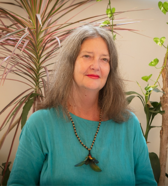 Atlas da Amazônia Brasileira amplia debate ambiental no ano da COP 30