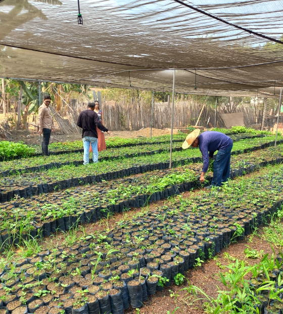 Programa Paricá lança chamada para Soluções Locais com mais de R$ 230 mil em financiamentos