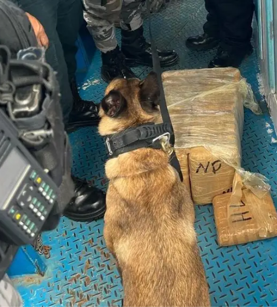 Ação da Base Candiru, em Óbidos, apreende 57kg de entorpecentes vindos do AM