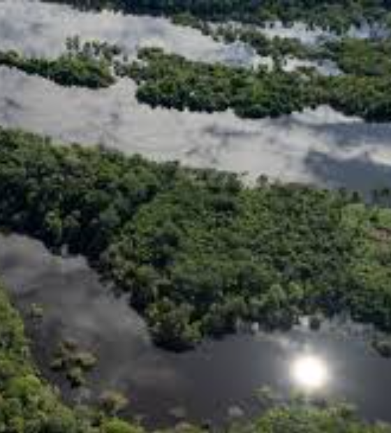 PSOL apresentará projeto de lei vedando exploração de petróleo e gás na Amazônia